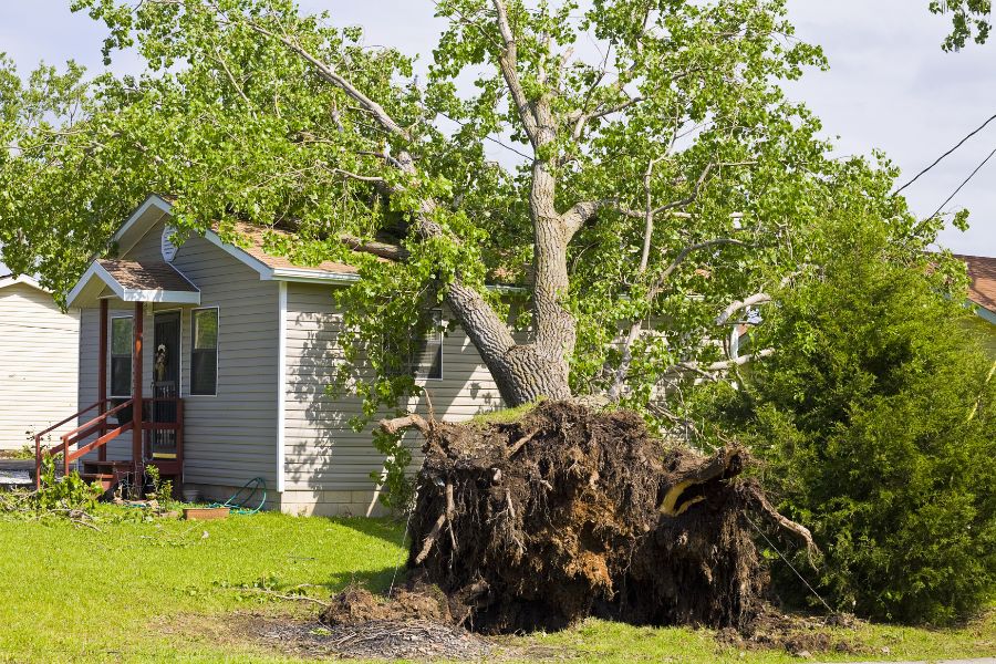 découvrez des conseils pratiques pour réduire le coût de votre assurance habitation sans compromettre votre couverture. comparez les offres et trouvez des astuces pour diminuer vos primes tout en protégeant votre domicile.